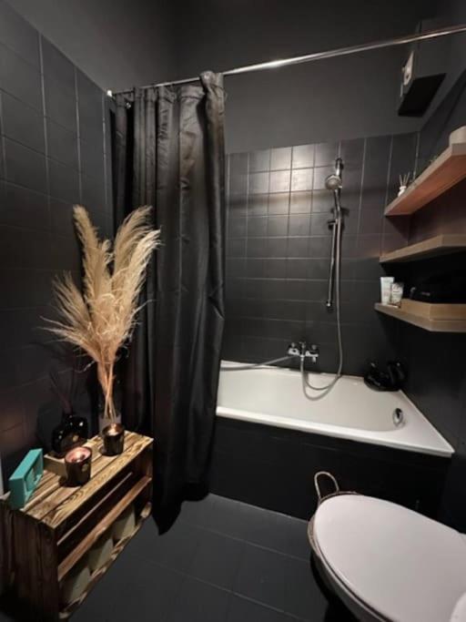 Charming And Cozy Apartamento *